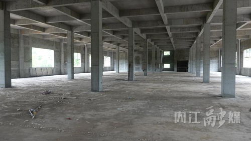 四川新奇味食品農產品加工項目 強產業促振興，預計2026年春節前投產