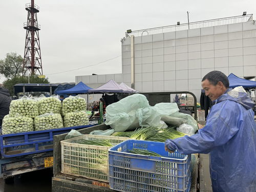北京新發(fā)地市場 助推商戶打造農(nóng)產(chǎn)品品牌，提升初級農(nóng)產(chǎn)品價值